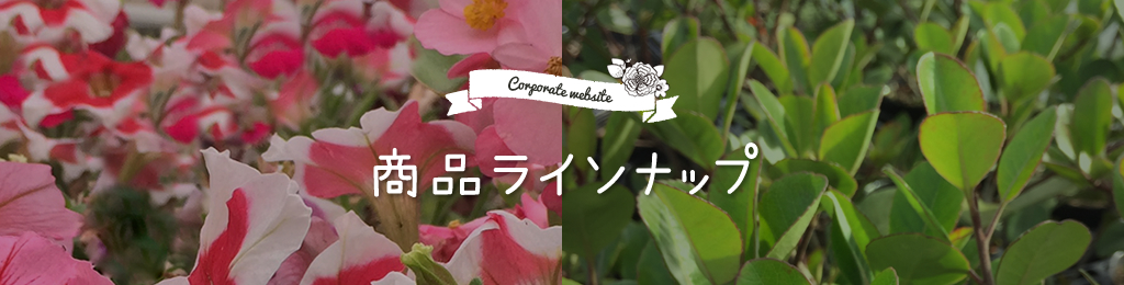 商品ラインナップ