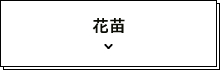 花苗