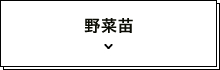 野菜苗